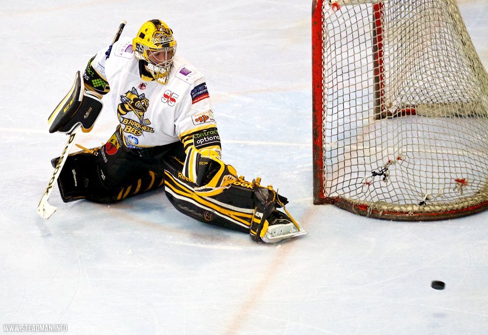 Bracknell Bees Vs Sheffield Steeldogs