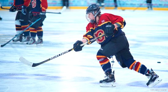 Ice Hockey: Guildford Lightning At Milton Keynes Falcons