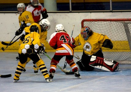 Bracknell Firebees Vs Streatham