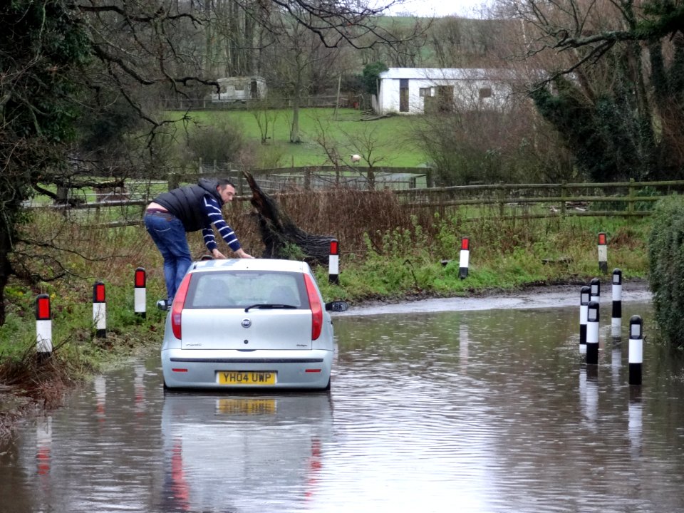 Stuck in the flood