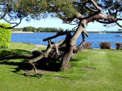 POOLE PARK DORSET