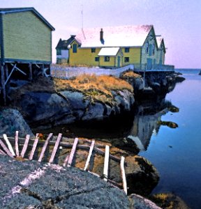 WATERCOLOR - NEWFOUNDLAND   (8)