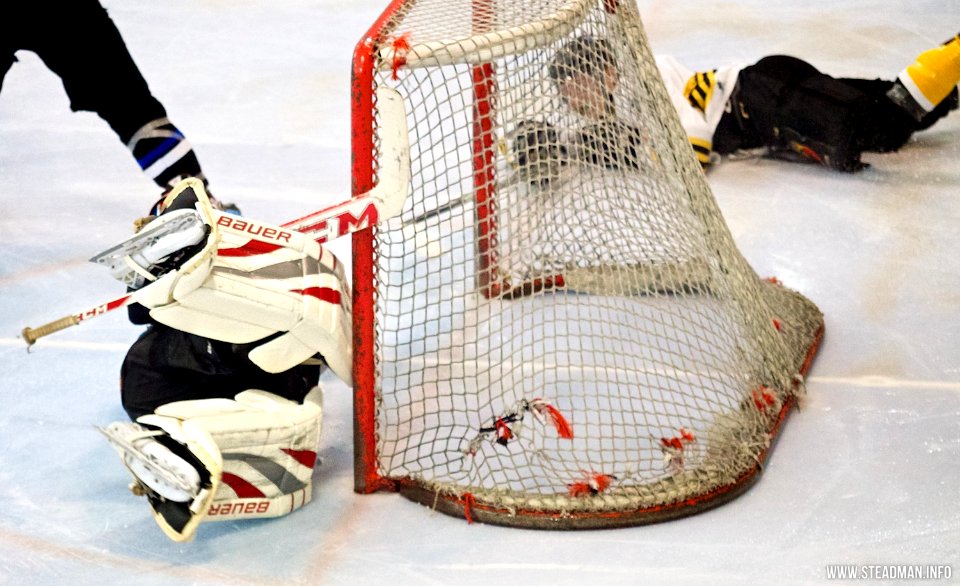 Bracknell Bees Vs Manchester Phoenix