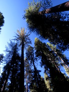 SIERRA CAMPSITE IMAGES - 1 - 08
