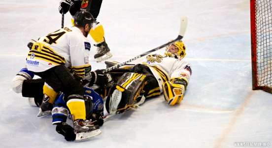 Bracknell Bees Vs Sheffield Steeldogs