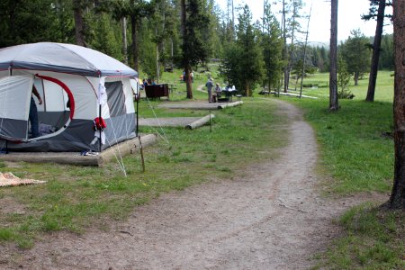 Norris Campground walk-in sites photo