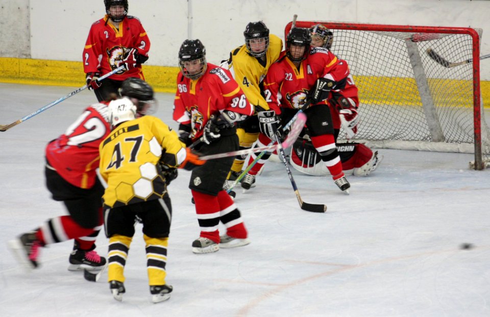 Bracknell Firebees Vs Basingstoke Bison Ladies