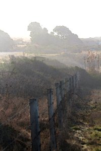 CA 0082a - NORTH COAST ( 12-31-2016) howard landing, westport-union state beach, mendocino co, ca (44) watercolor