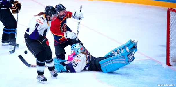 Ice Hockey: Guildford Lightning At Milton Keynes Falcons