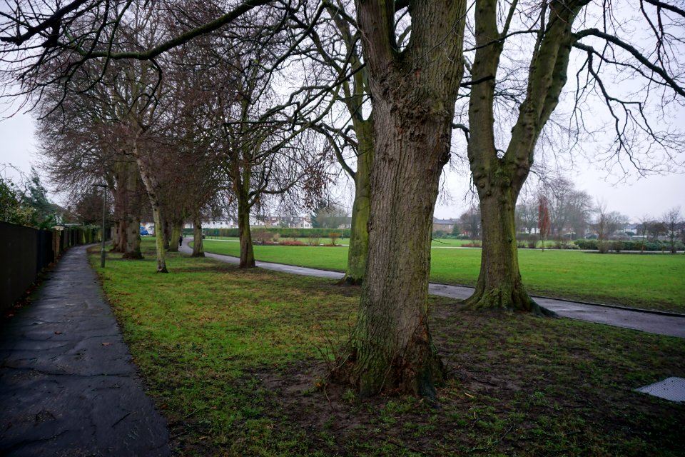Whitehall Recreation Ground Bromley. Filming location for David Bowie Buddha of Suburbia music video.