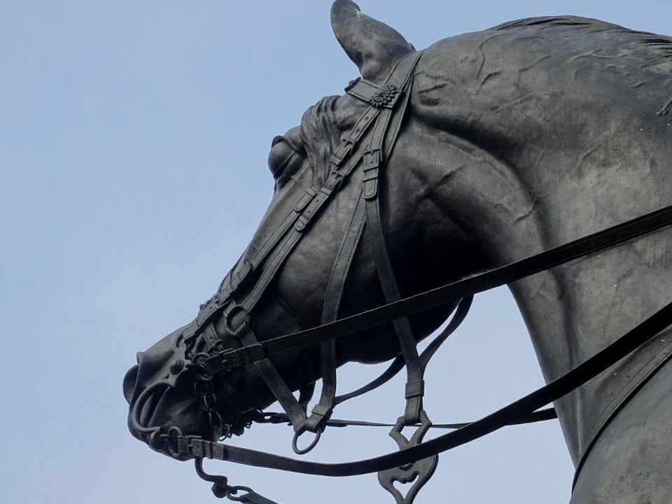 DUKE OF WELLINGTON STATUE ALDERSHOT