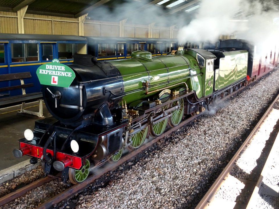 1 GREEN GODDESS NEW  ROMNEY
