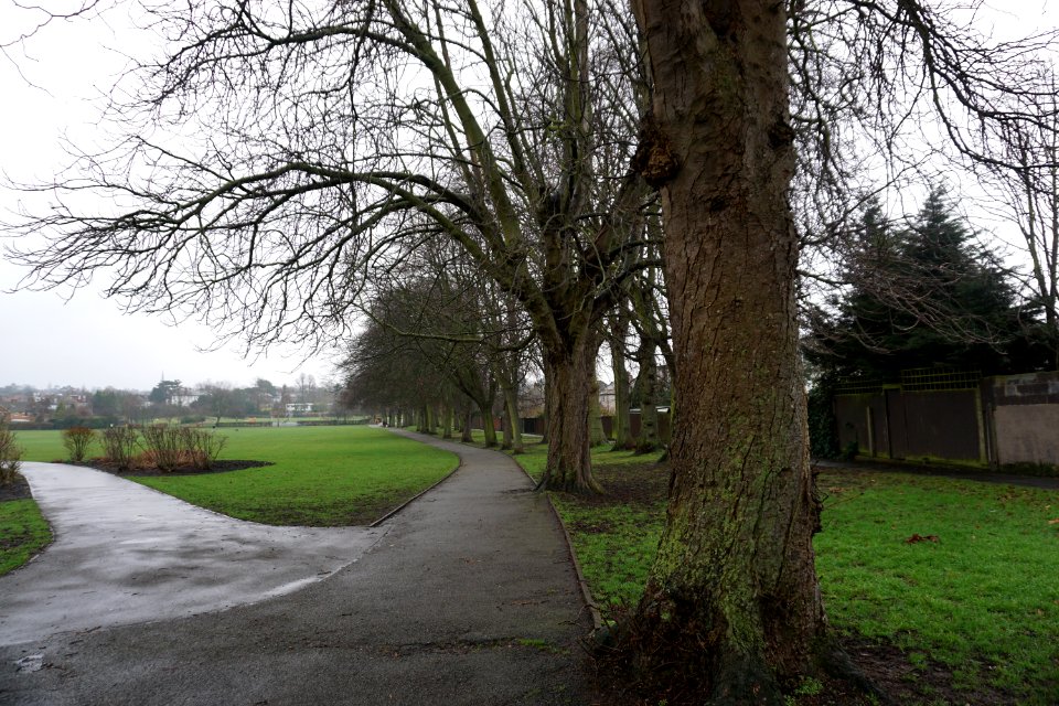 Whitehall Recreation Ground Bromley. Filming location for David Bowie Buddha of Suburbia music video.