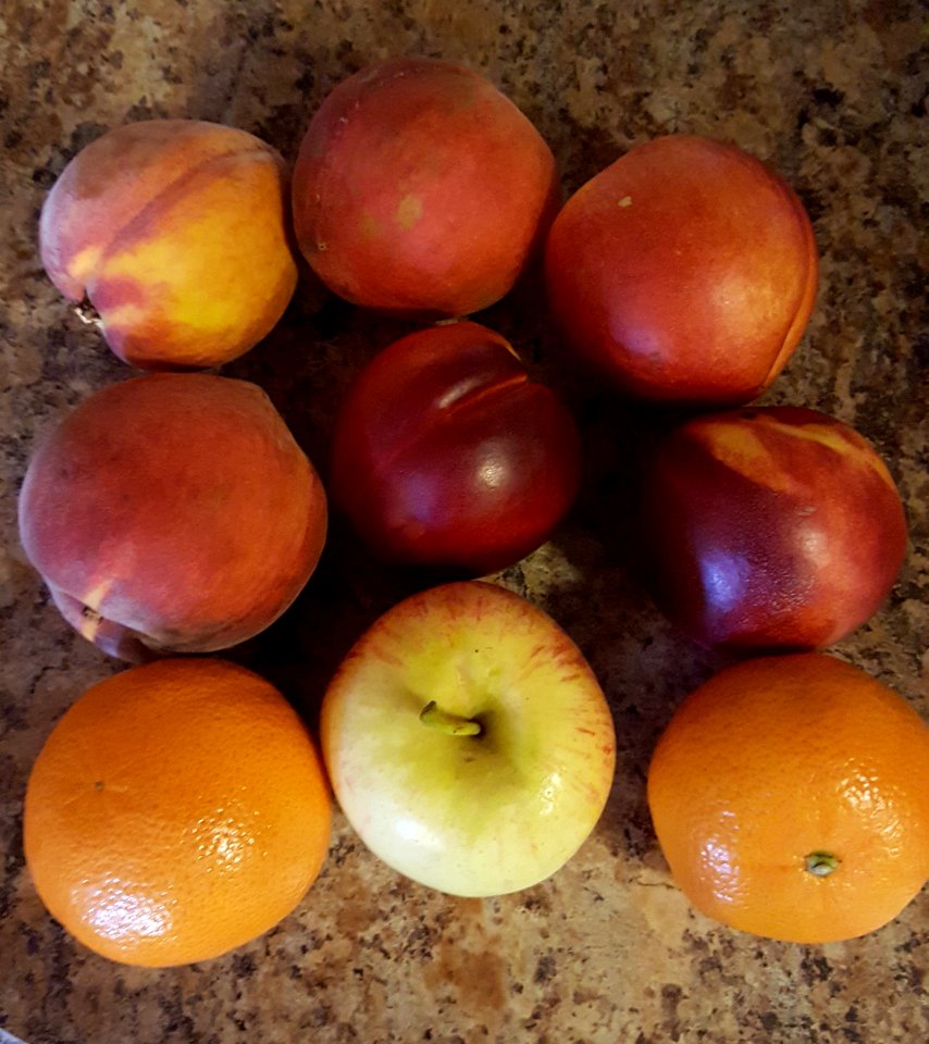 Fruit