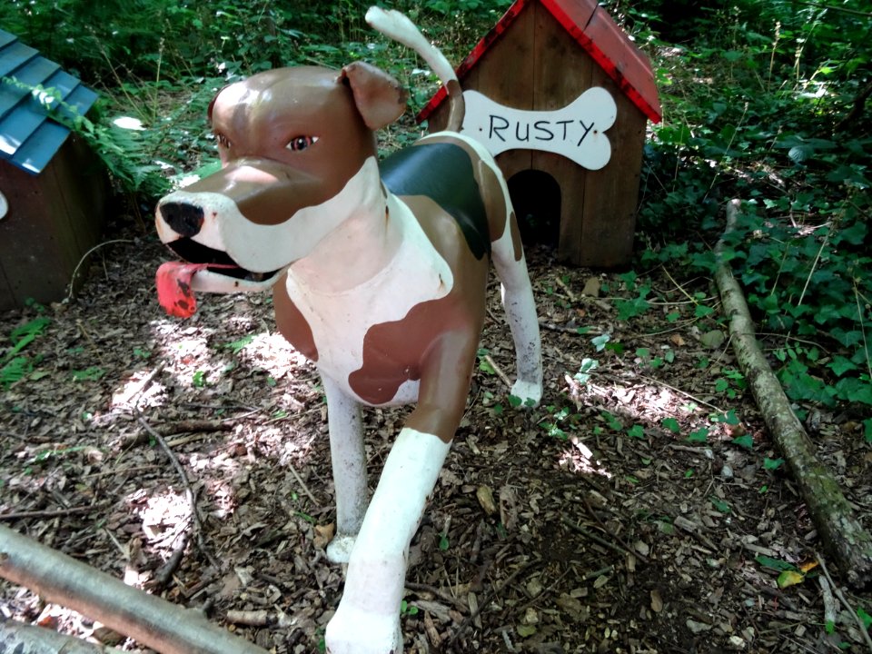 RUSTY AT ROBIN HILL