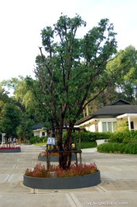 DSC 0045