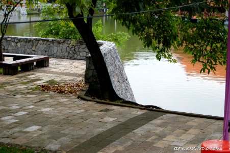 DSC 0094