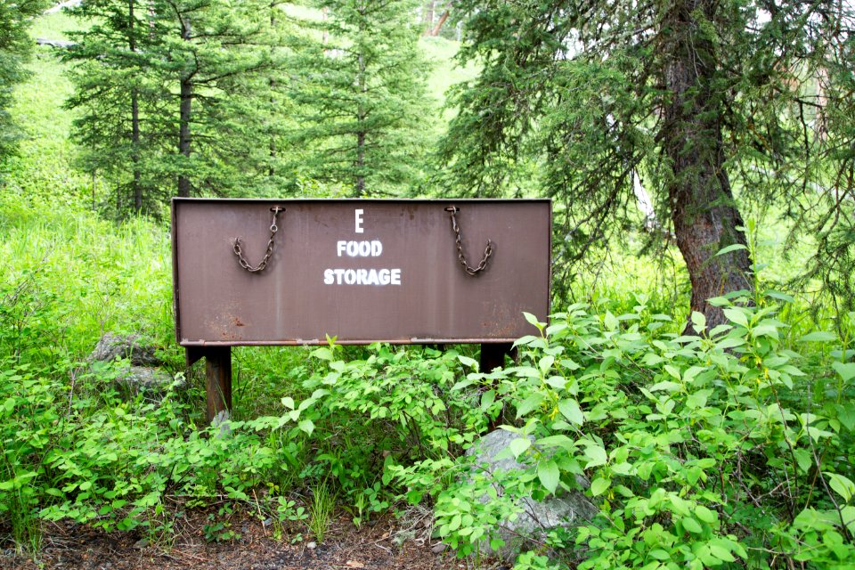 Pebble Creek Campground bear-proof food storage box