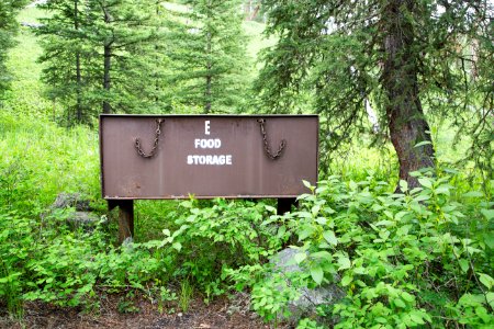 Pebble Creek Campground bear-proof food storage box