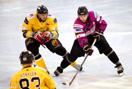 Bracknell Bees Vs Manchester Phoenix