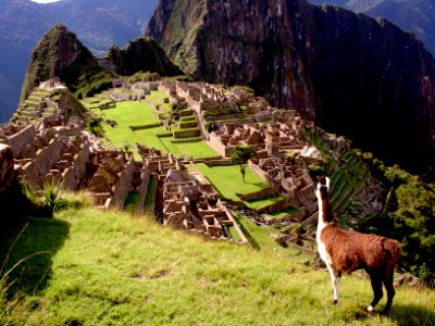 Machu Pichu Look out
