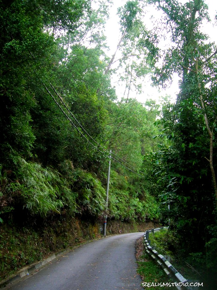 DSCN0772