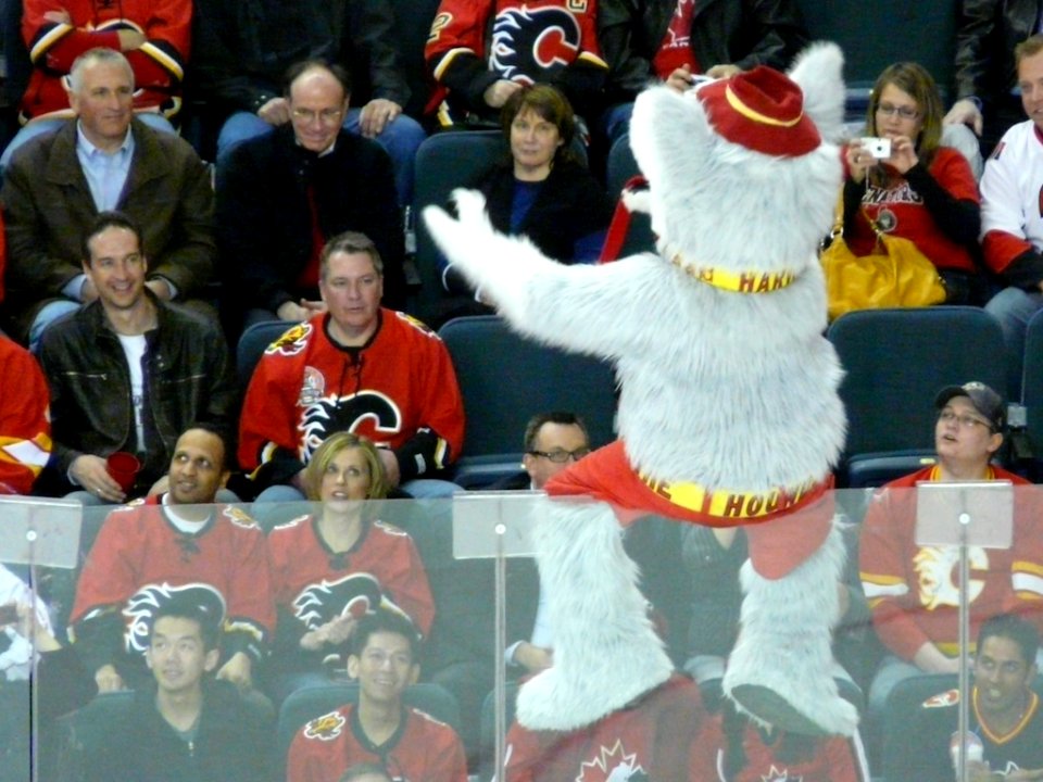 Calgary Flames Vs Ottowa Senators