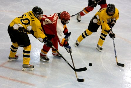 Bracknell Firebees Vs Streatham