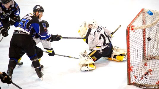 Ice Hockey - Bracknell Bees Vs Sheffield Steeldogs