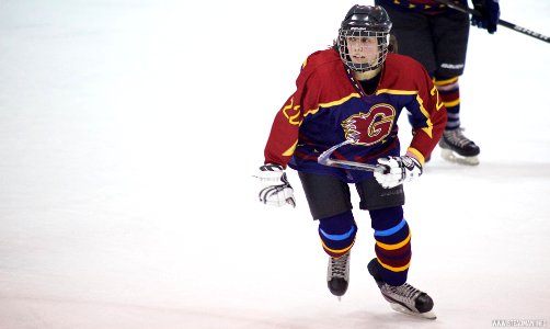 Ice Hockey - Guildford Lightning At Sheffield Shadows
