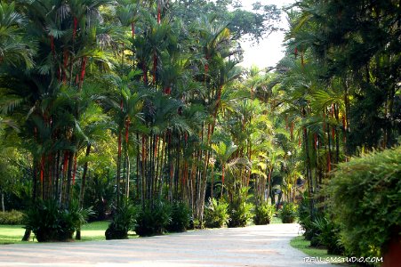 DSC 0084