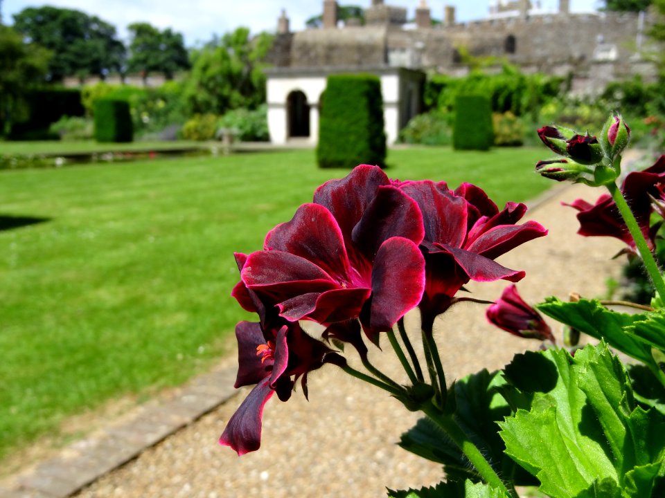 Walmer Castle Gardens
