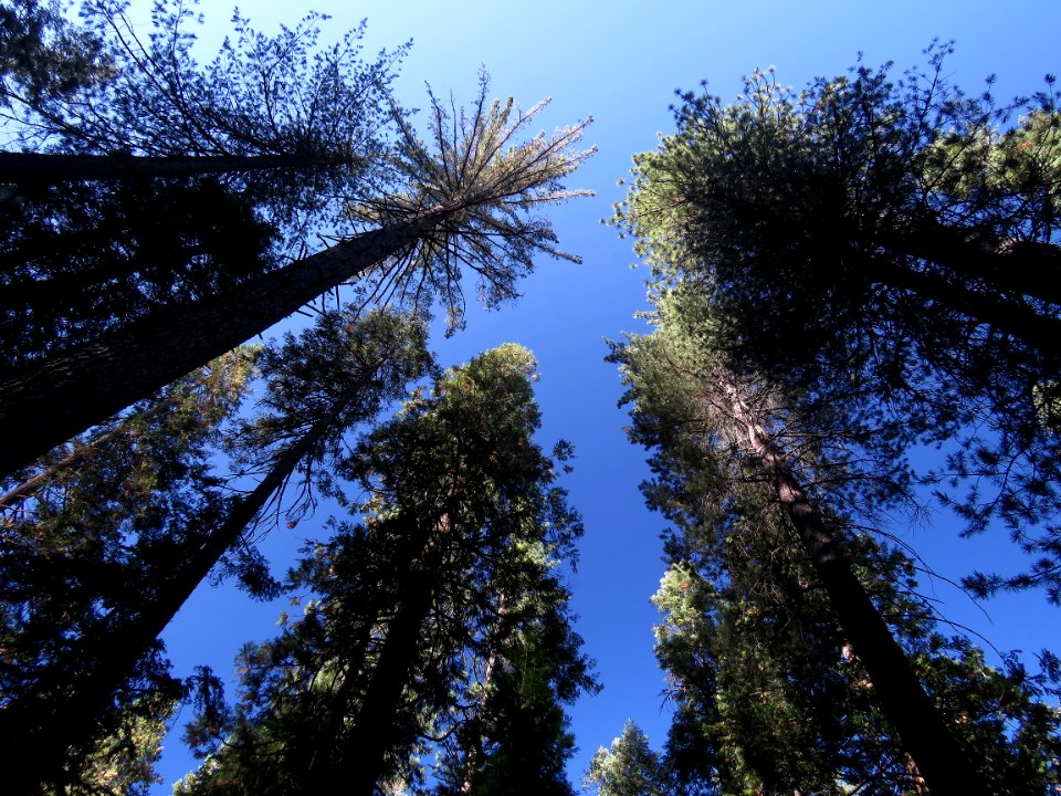 SIERRA CAMPSITE IMAGES - 1 - 03
