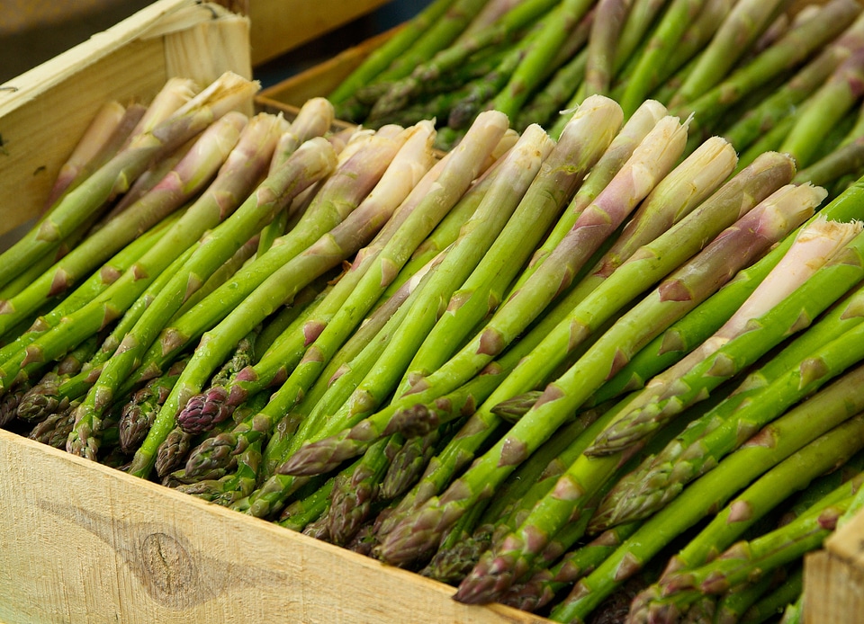 Vegetable asparagus market