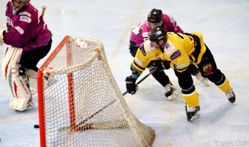 Bracknell Bees Vs Manchester Phoenix