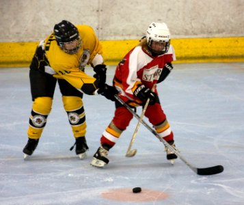 Bracknell Firebees Vs Streatham