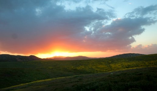 PADRONNES SPRINGS ROAD AREA, Carrizo Plain National Monument, San Luis Obispo Co, CA (4-9-2019) -21