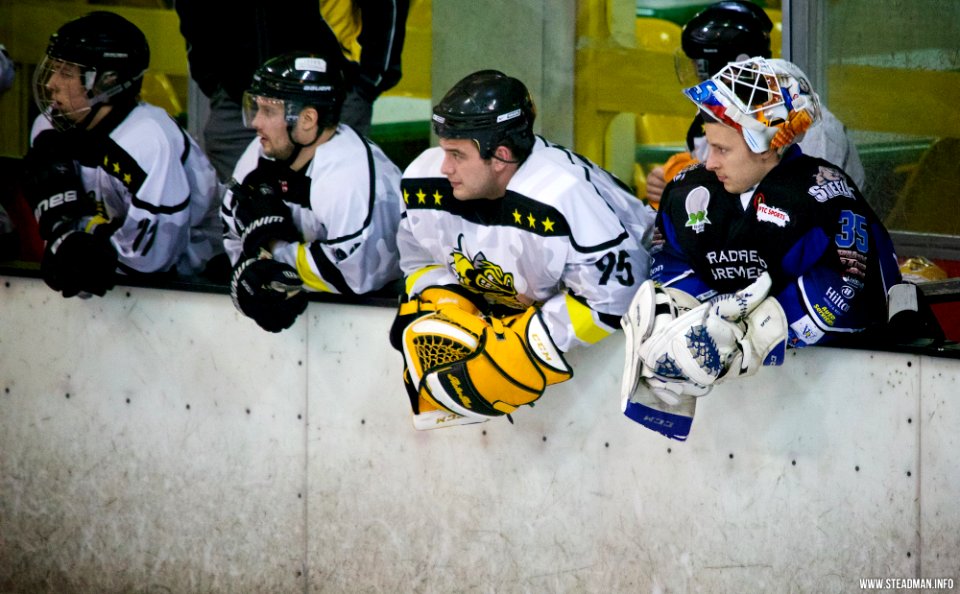 Ice Hockey - Bracknell Bees Vs Sheffield Steeldogs