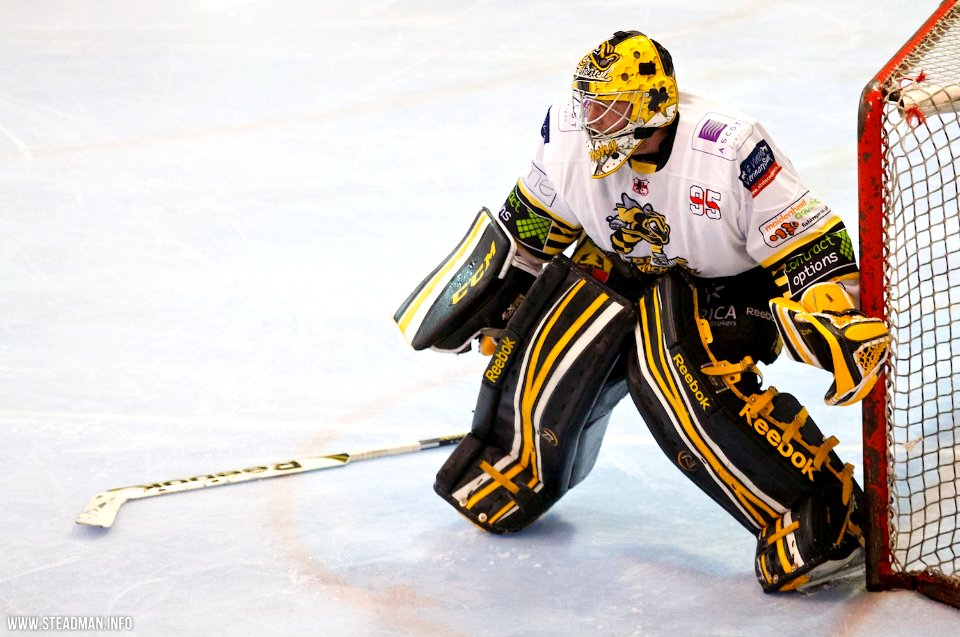 Bracknell Bees Vs Sheffield Steeldogs