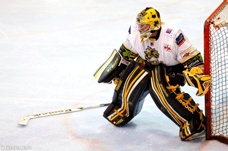 Bracknell Bees Vs Sheffield Steeldogs