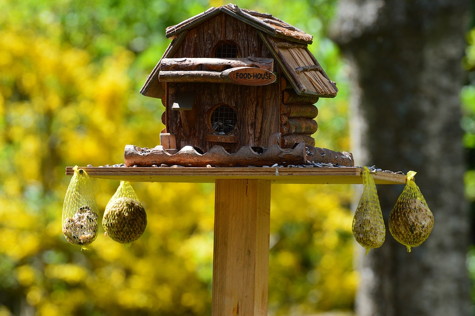 Bird seed tit fat balls