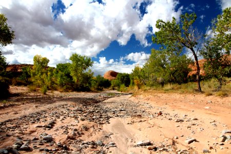 HANKSVILLE AREA, GARFIELD CO, UTAH - 2016-10-02 - Poison Springs Canyon -03