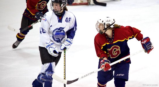 Ice Hockey - Guildford Lightning At Sheffield Shadows