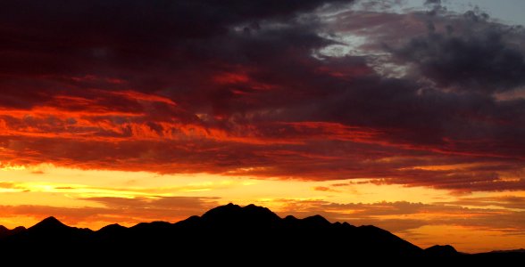 VIEW FROM THE HOUSE - 0263 (8-19-2017) -03