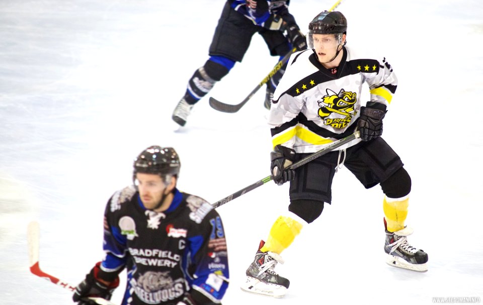 Ice Hockey - Bracknell Bees Vs Sheffield Steeldogs