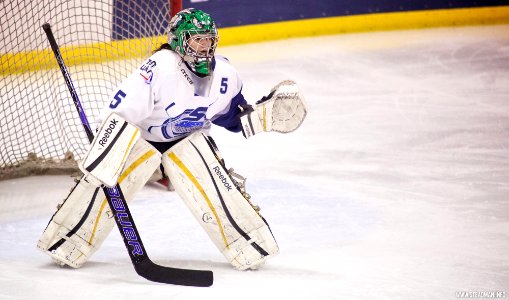 Ice Hockey - Guildford Lightning At Sheffield Shadows