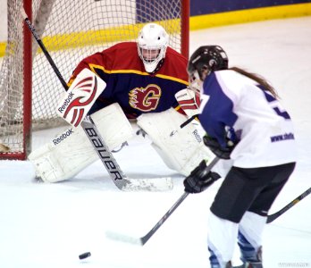 Ice Hockey - Guildford Lightning At Sheffield Shadows