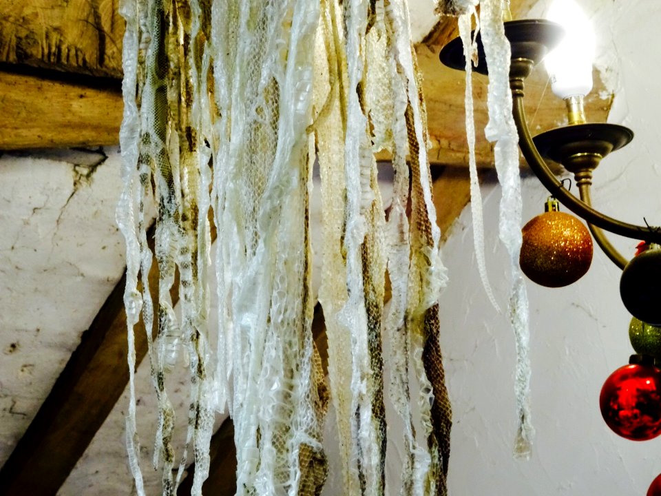 SNAKE SKINS AND DECORATIONS