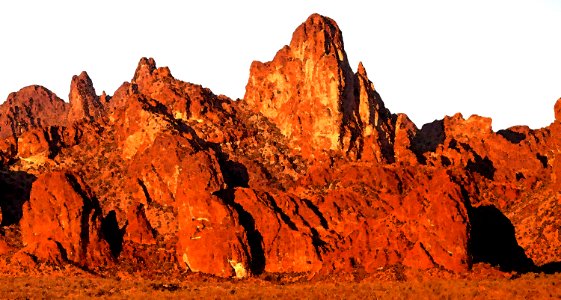 PALM CYN ROAD CAMPSITE, Kofa Game Range, La Paz Co, AZ (3-16-2018) -19 WATECOLOR