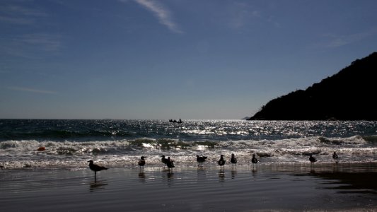 Florianopolis...SC..Brasil...